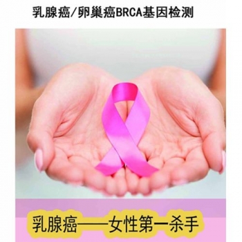 brca1抗體試劑(免疫組織化學(xué)法)