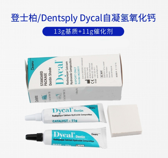 Dycal自凝氫氧化鈣13g基質+11g催化劑1.png