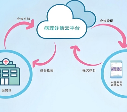 數字病理遠程診斷系統